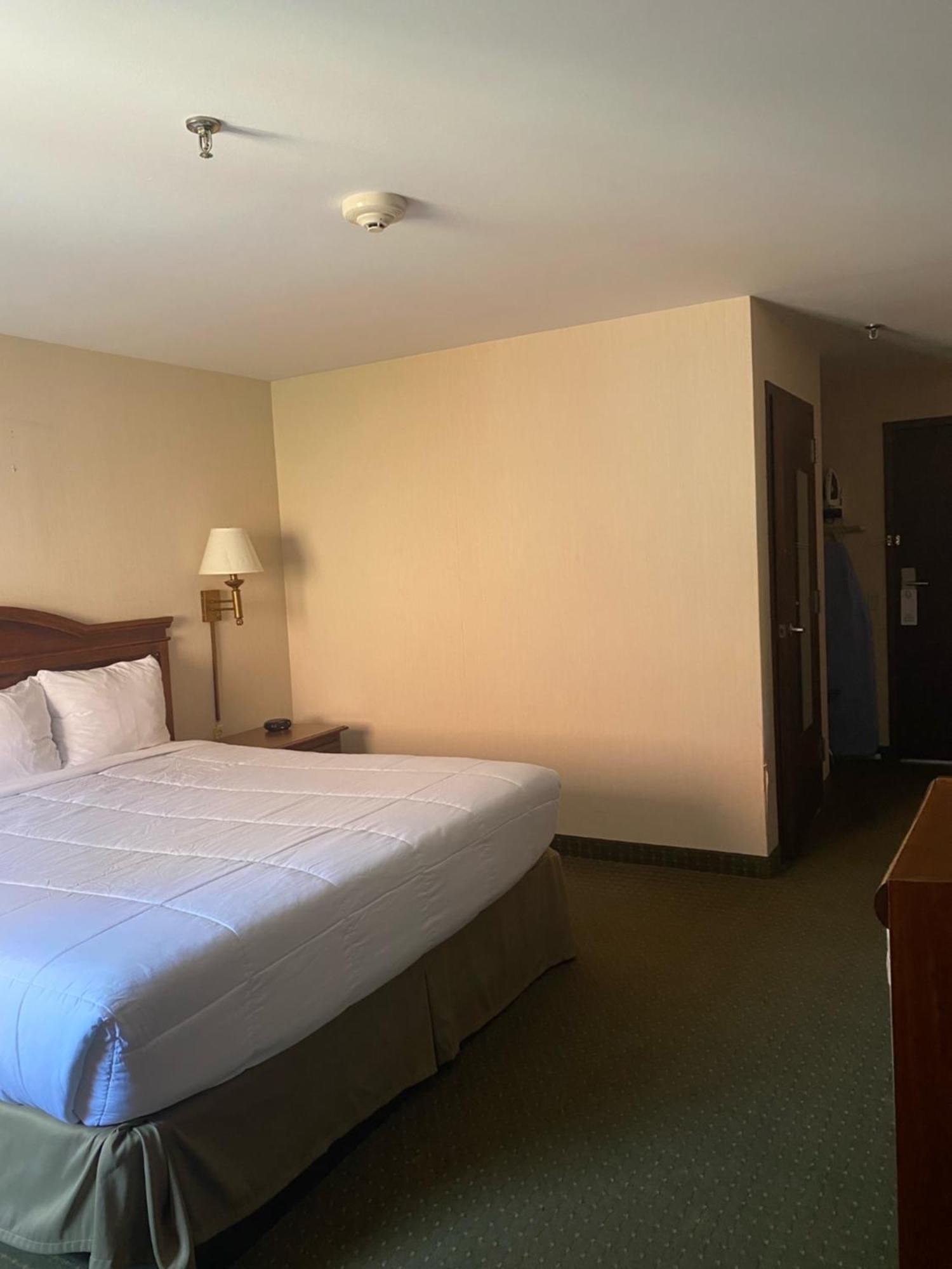 Pottsville Hotel エクステリア 写真