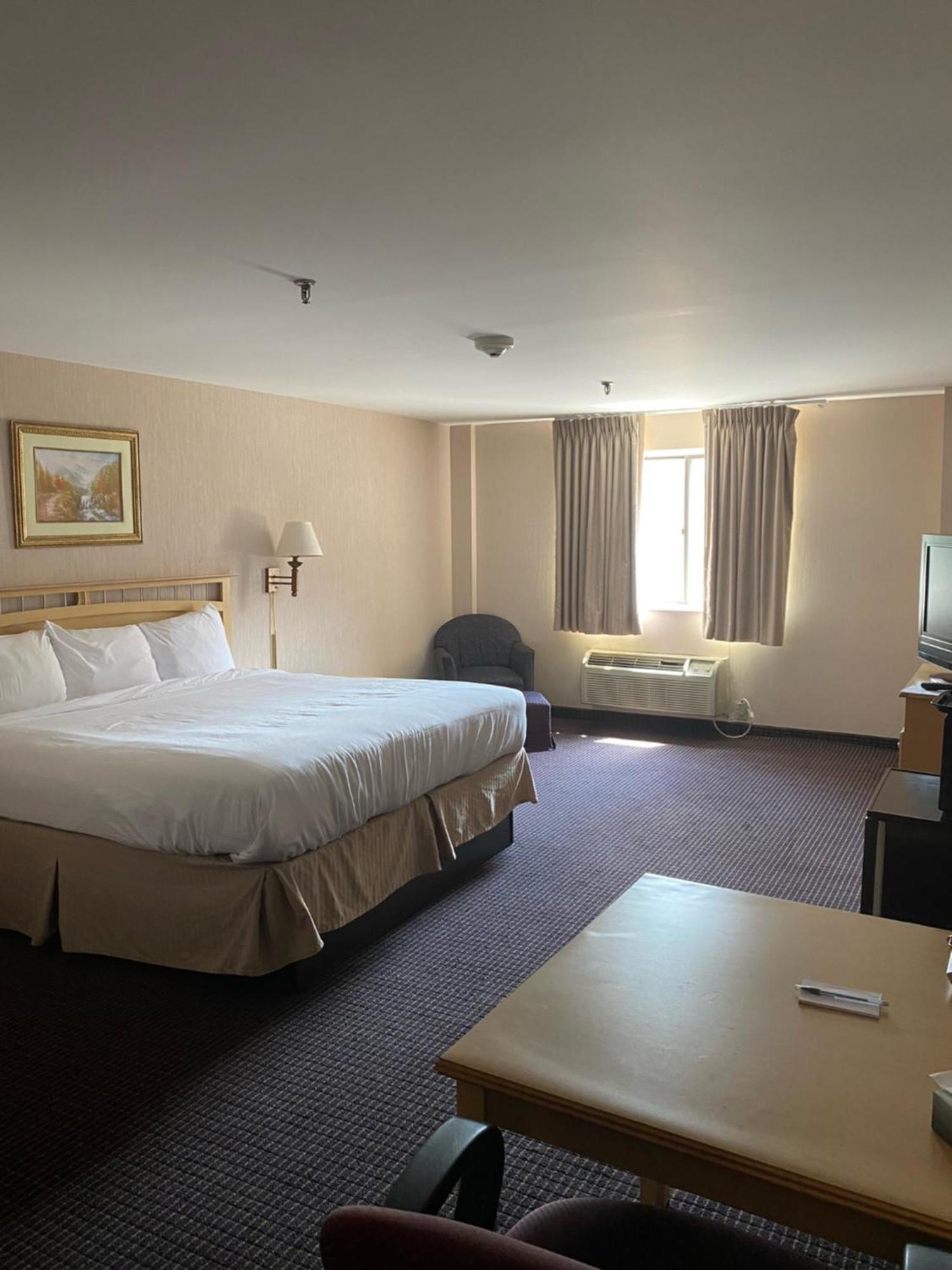 Pottsville Hotel エクステリア 写真